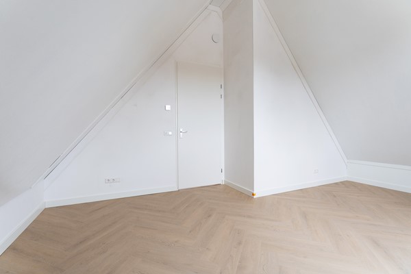 52-Moerasorchidee 13 - Lelystad.jpg